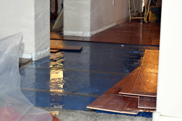Professional Water Damage Restoration technician working in North Fork, AZ